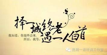 如何孤独终老,探寻现代人的情感归宿与自我成长之路