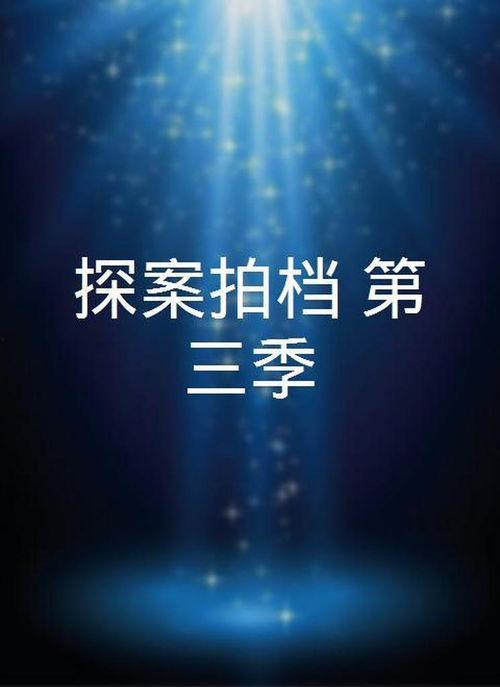探案拍档 第三季